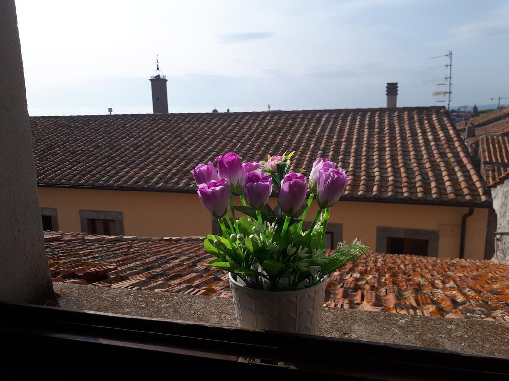Clockwise Hotel Viterbo Exterior photo